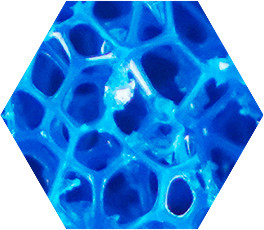Detall del material Filtres per a aquaris i sistemes aqu&agrave;tics